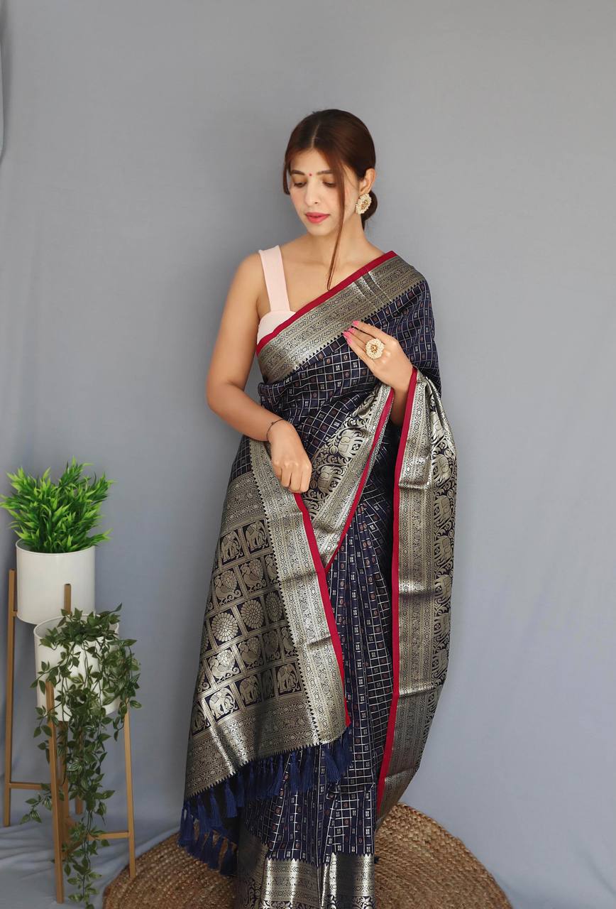 Sheer And Shiny This Saree