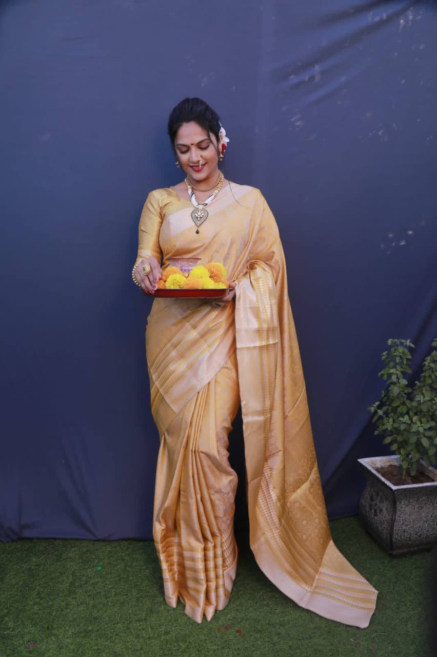 Kanchipuram Pure Silk Handloom Saree