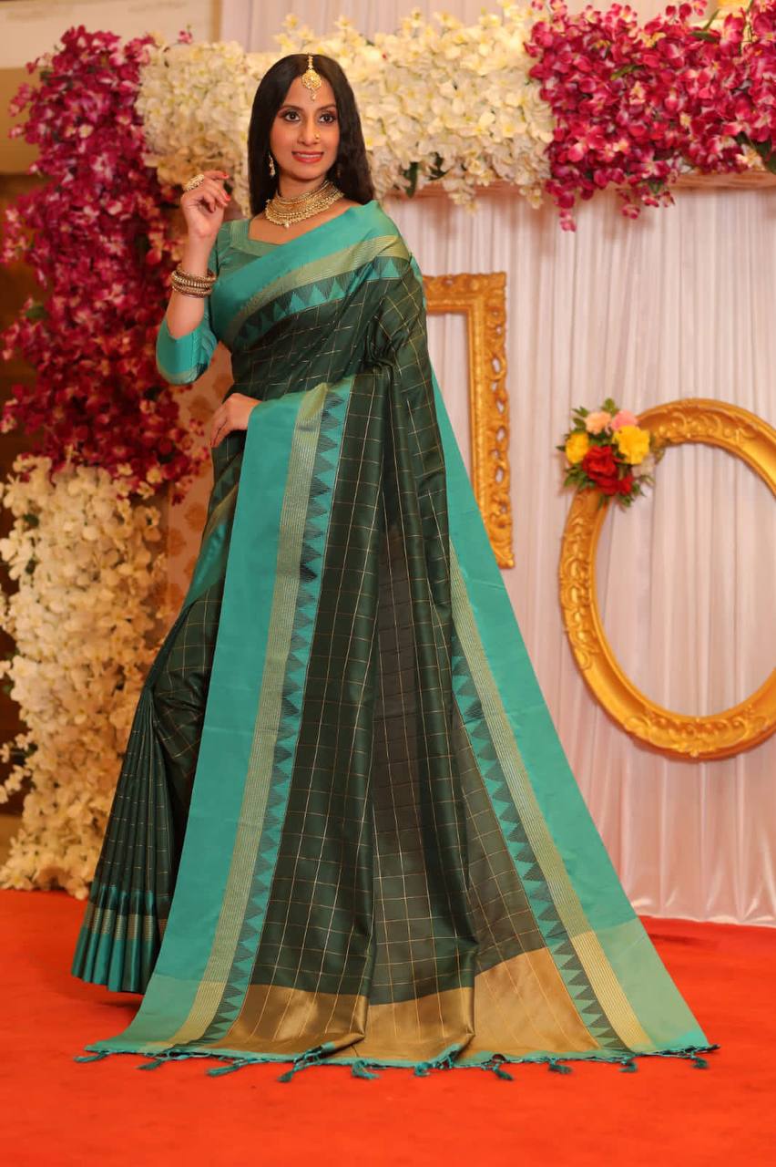 Soft Raw Silk Saree