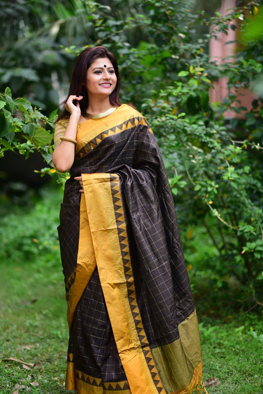 Soft Raw Silk Saree