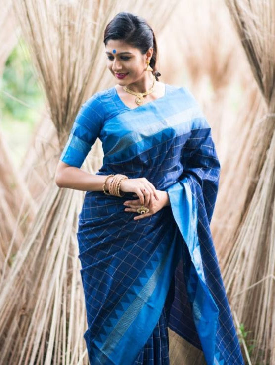 Soft Raw Silk Saree
