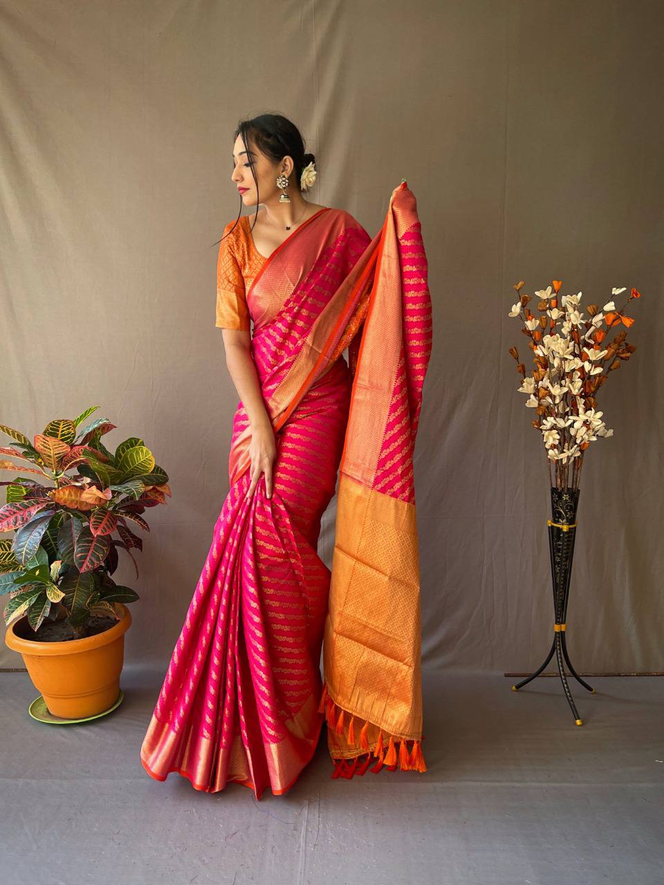 Banarasi Beautiful Patola Sarees