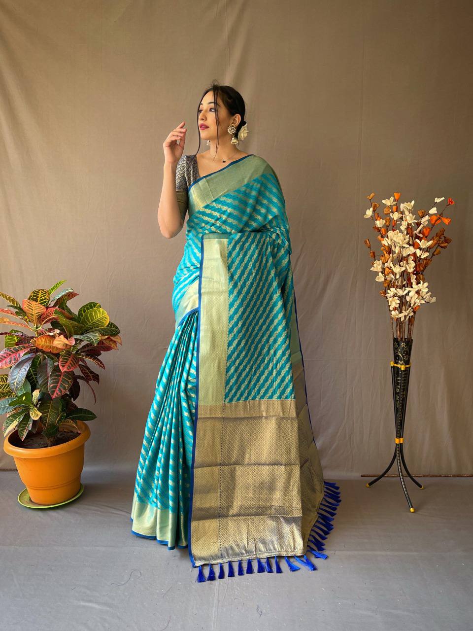 Banarasi Beautiful Patola Sarees