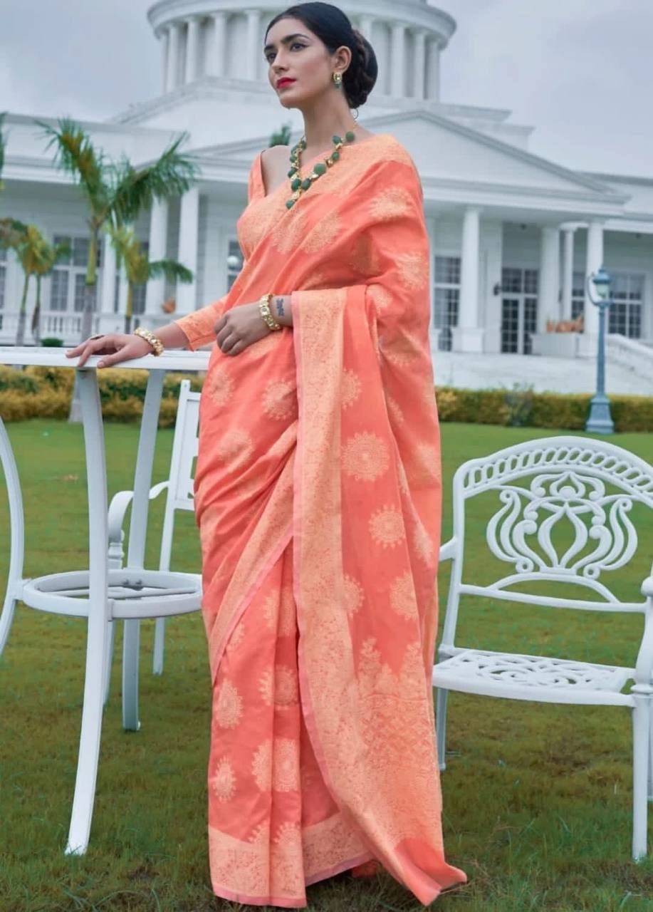 Banarasi Cotton Chikankari Weaving Sarees