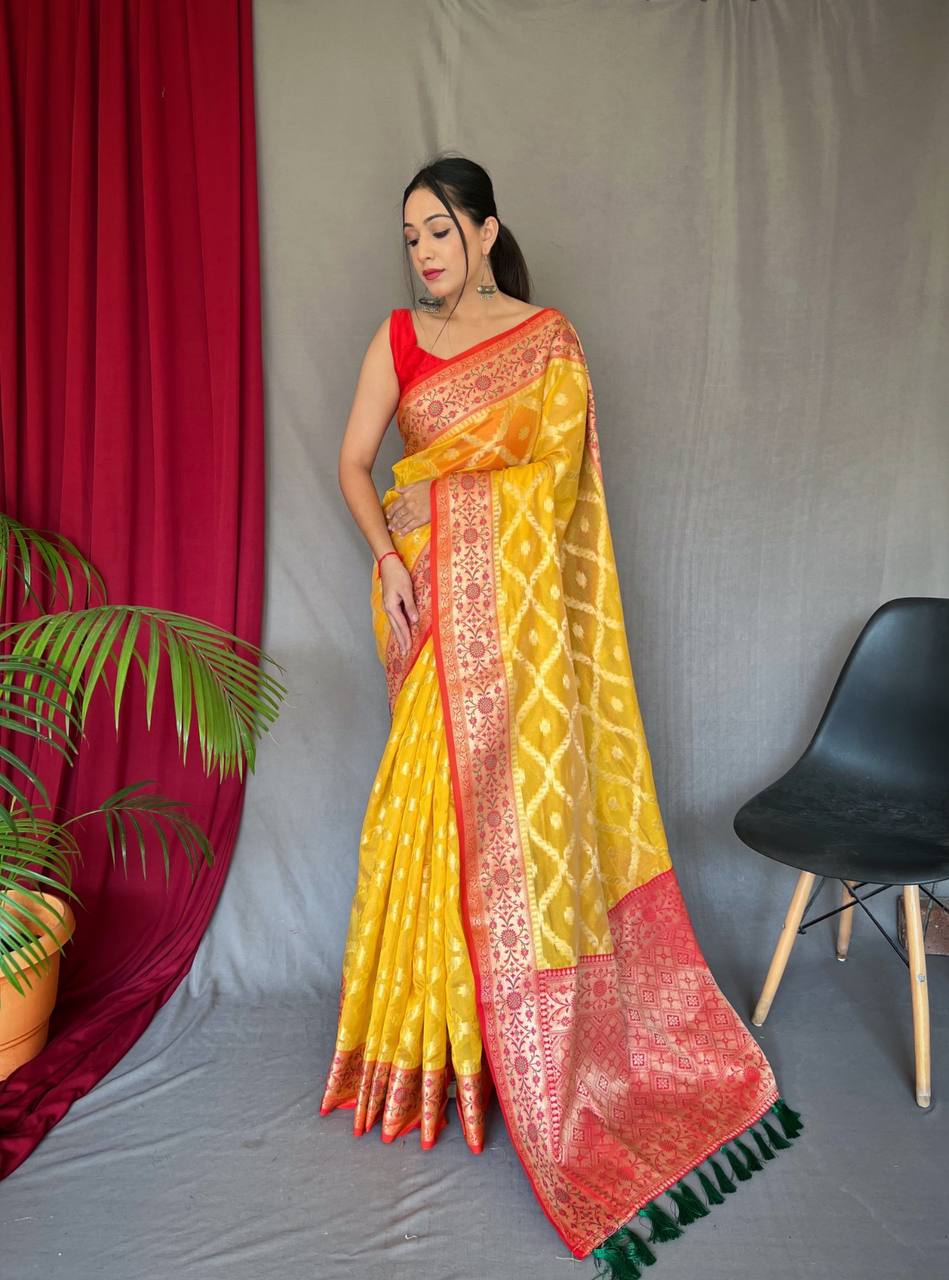 Pure Organza Weaved Saree