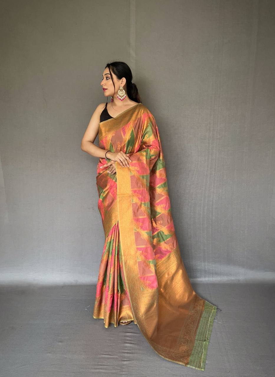 FIRST TIME EVER PURE TISSUE SILK SAREE