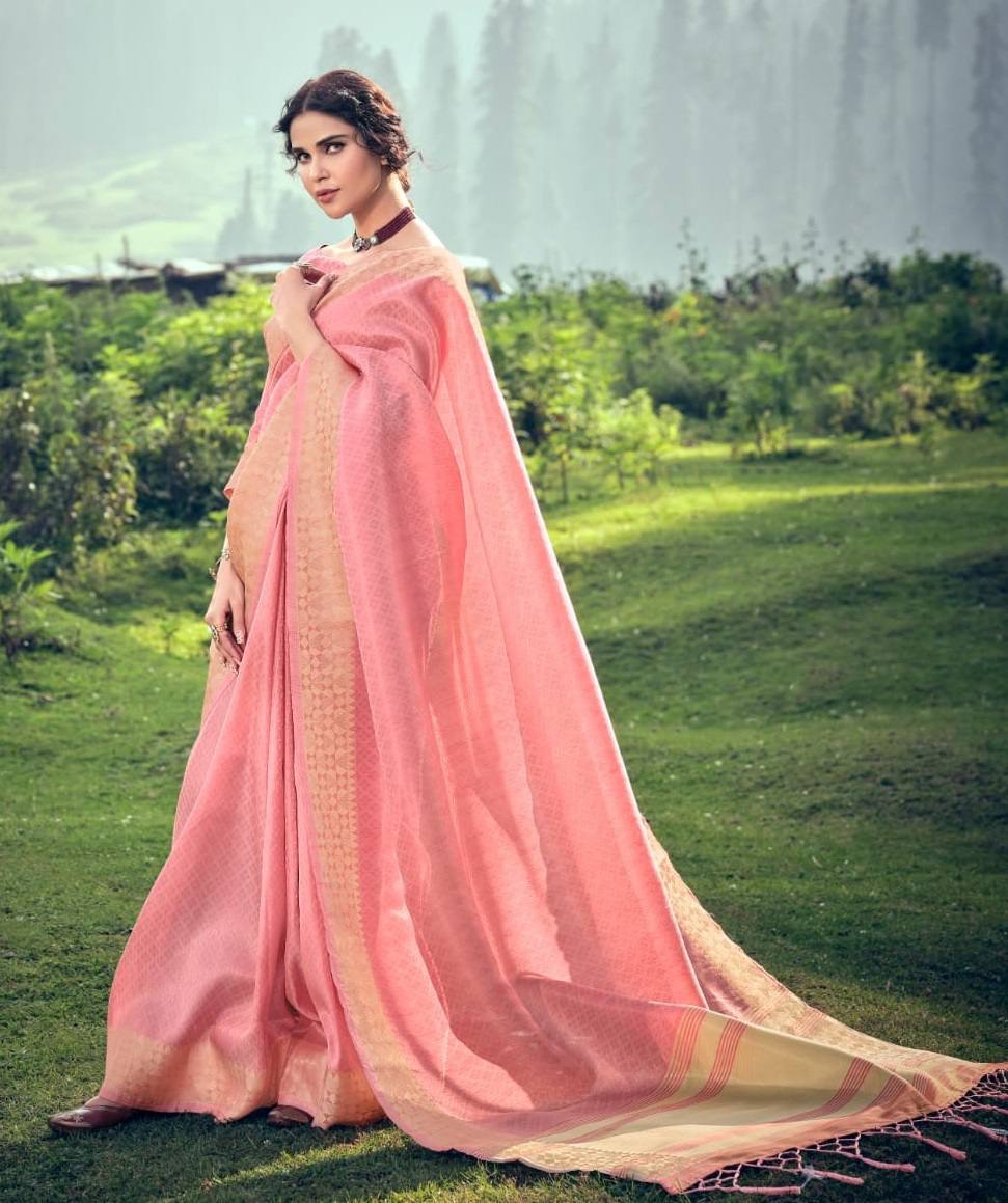Linen Tissue Saree