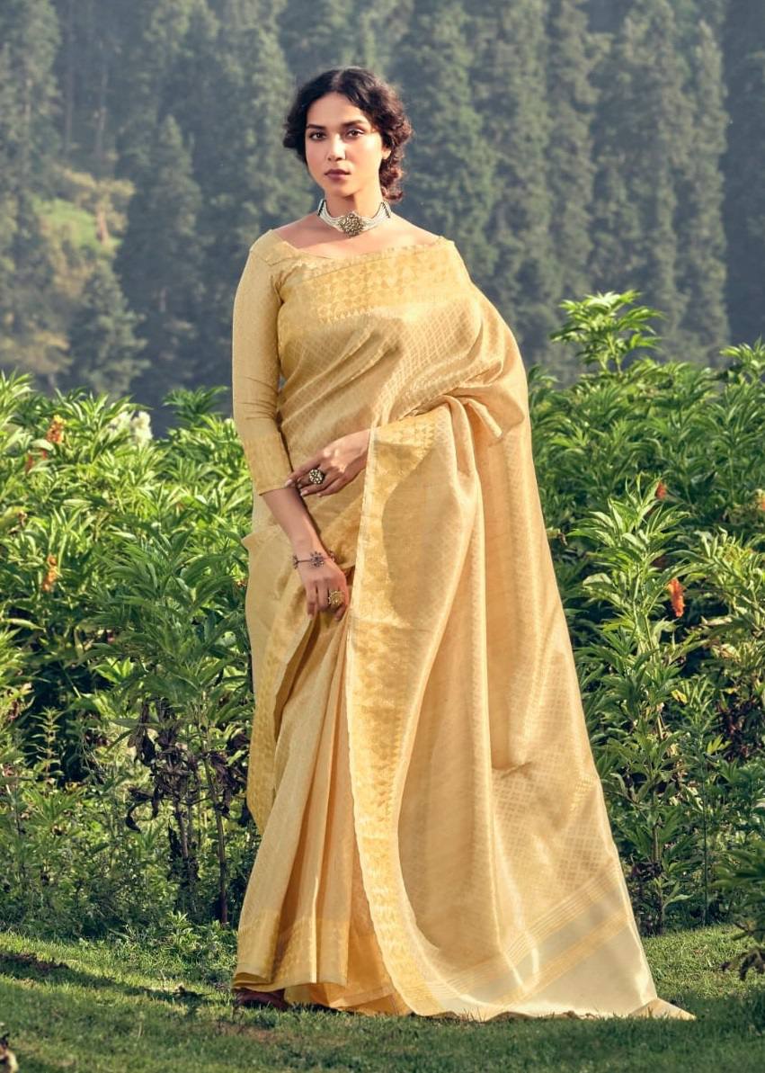 Linen Tissue Saree
