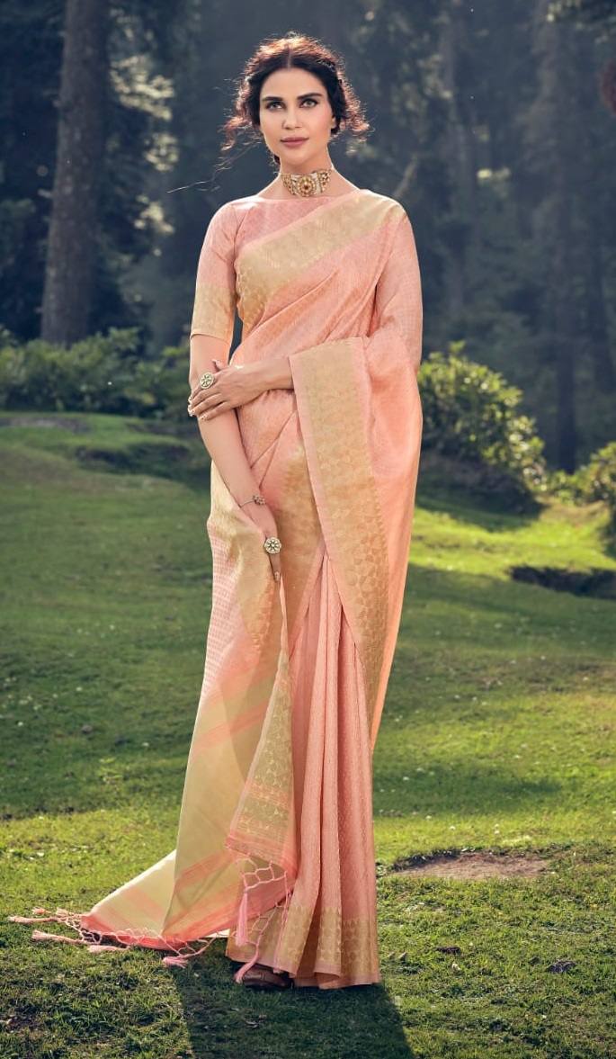 Linen Tissue Saree