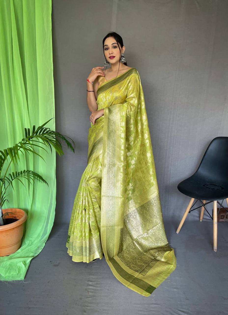 Pure Organza Silk Saree