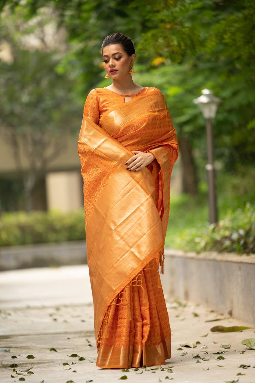 Soft Banarasi Silk Tanchoi Saree